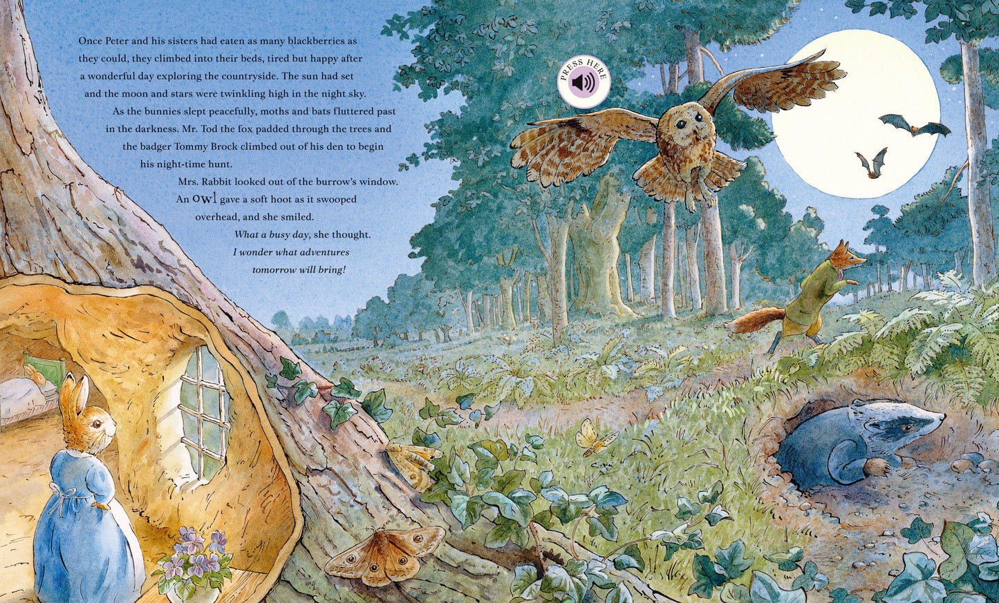 Peter Rabbit: Peter's Nature Walk