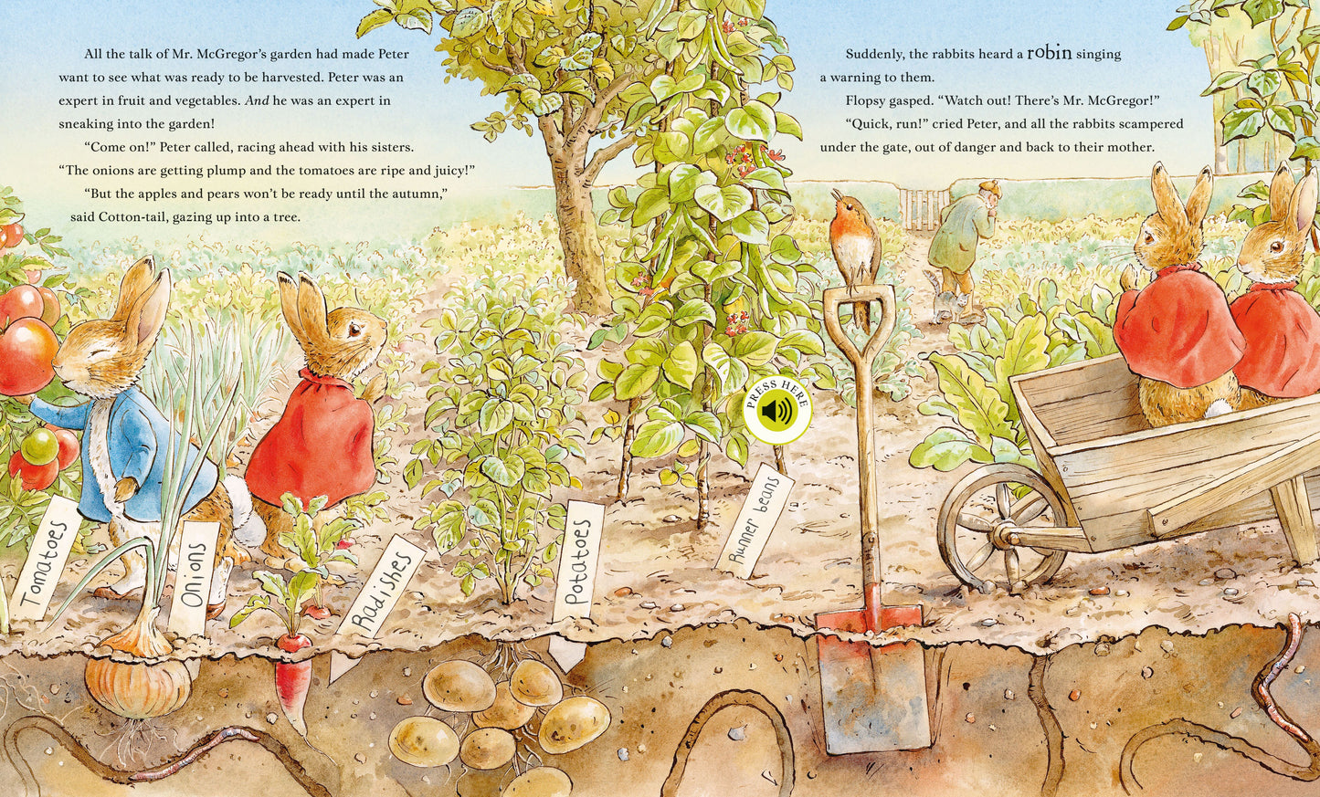 Peter Rabbit: Peter's Nature Walk