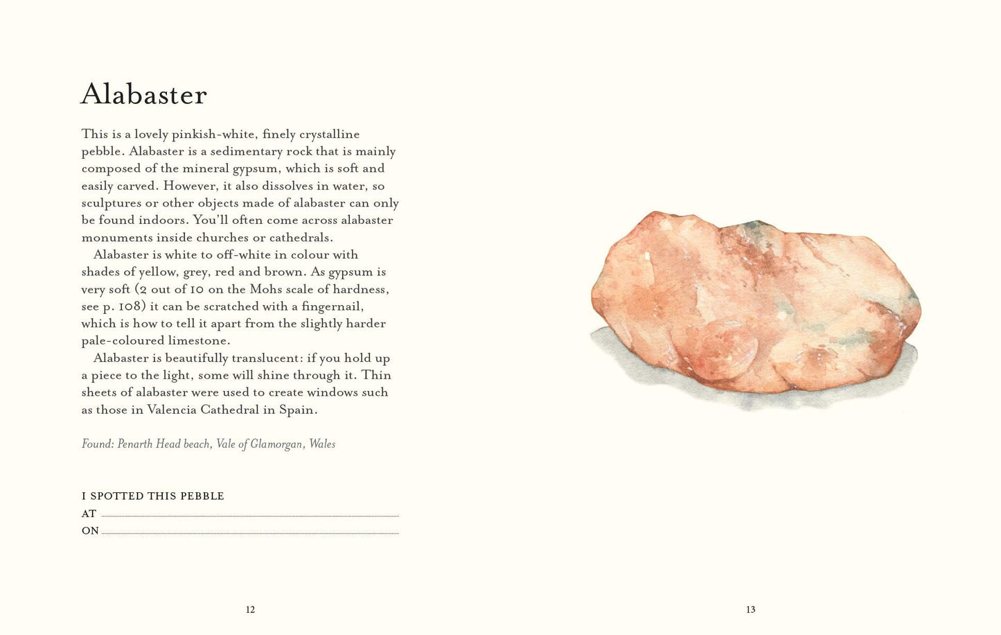The Pebble Spotter's Guide (National Trust)