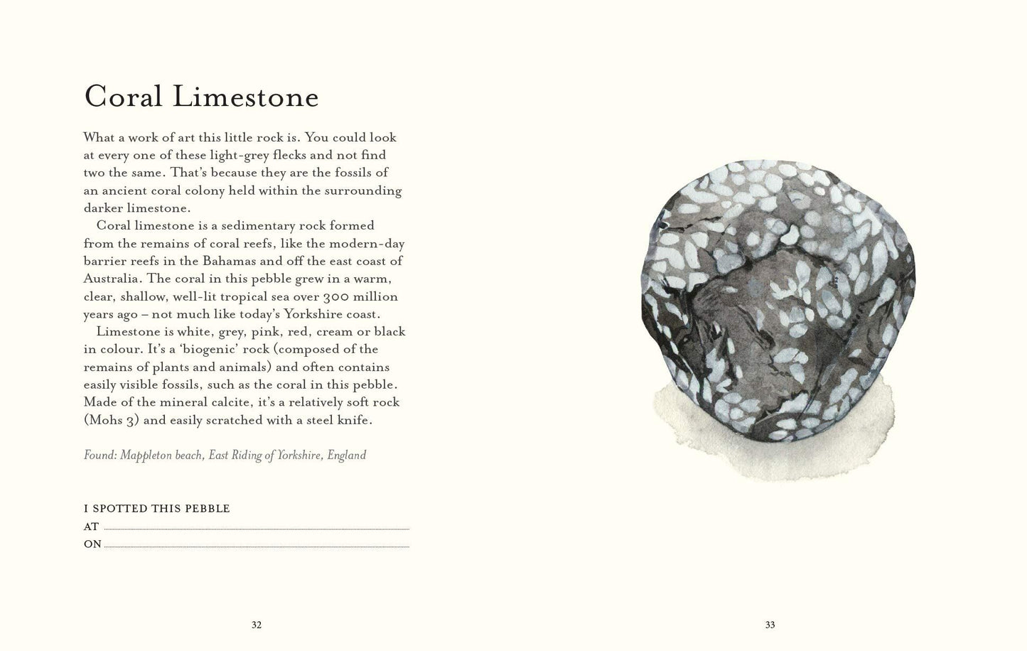 The Pebble Spotter's Guide (National Trust)
