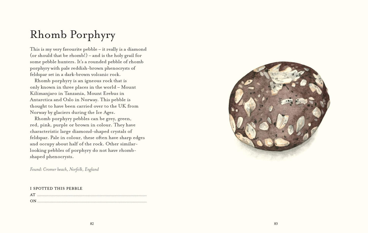 The Pebble Spotter's Guide (National Trust)