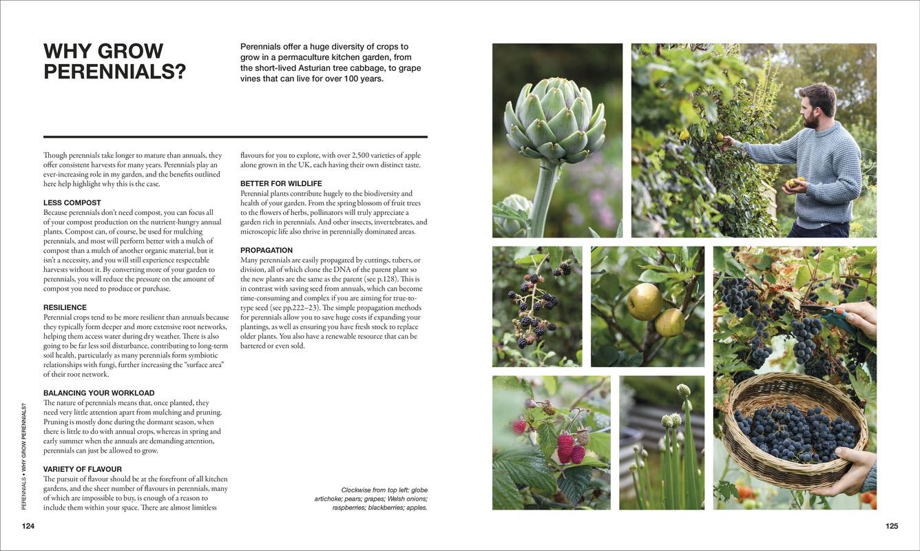 The Permaculture Garden: A Practical Approach to Year-round Harvests