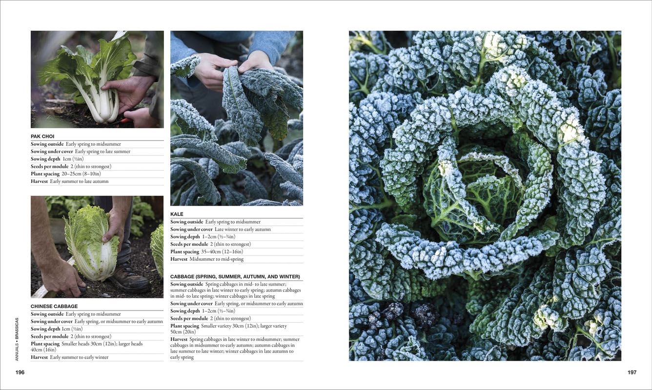 The Permaculture Garden: A Practical Approach to Year-round Harvests