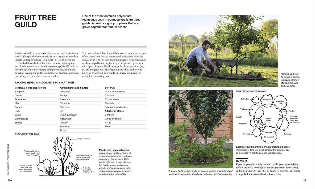 The Permaculture Garden: A Practical Approach to Year-round Harvests
