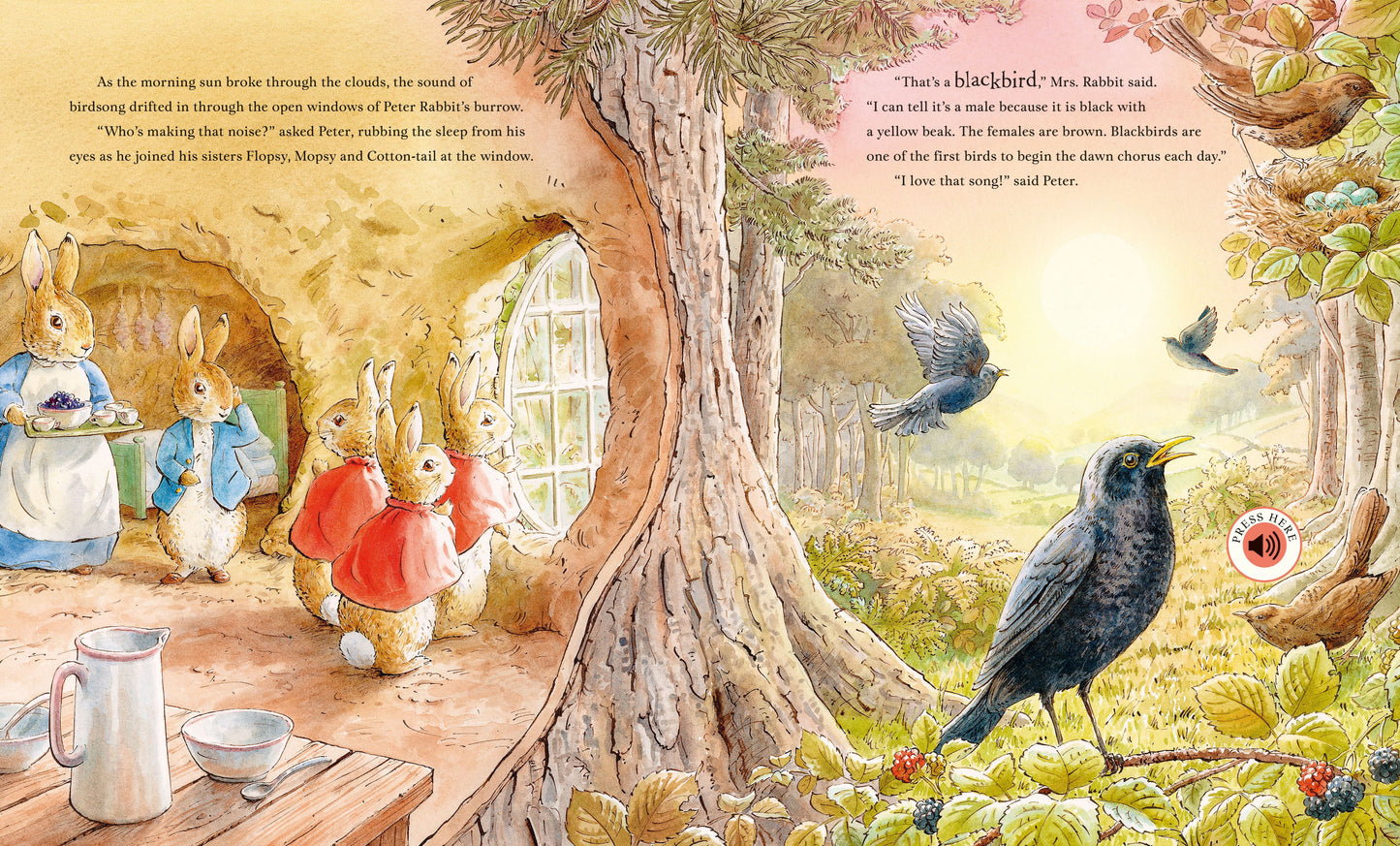 Peter Rabbit: Peter's Nature Walk