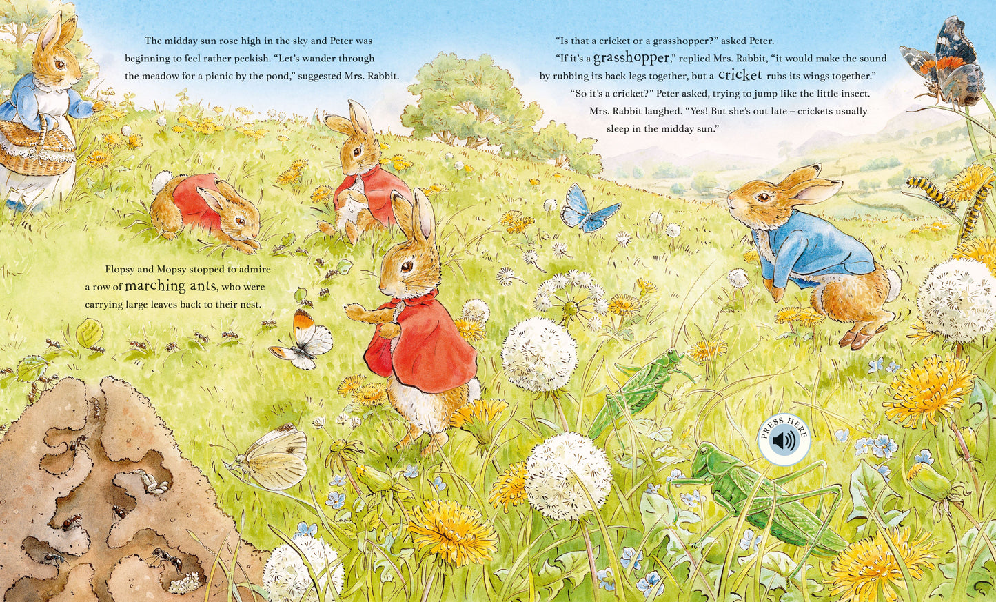Peter Rabbit: Peter's Nature Walk