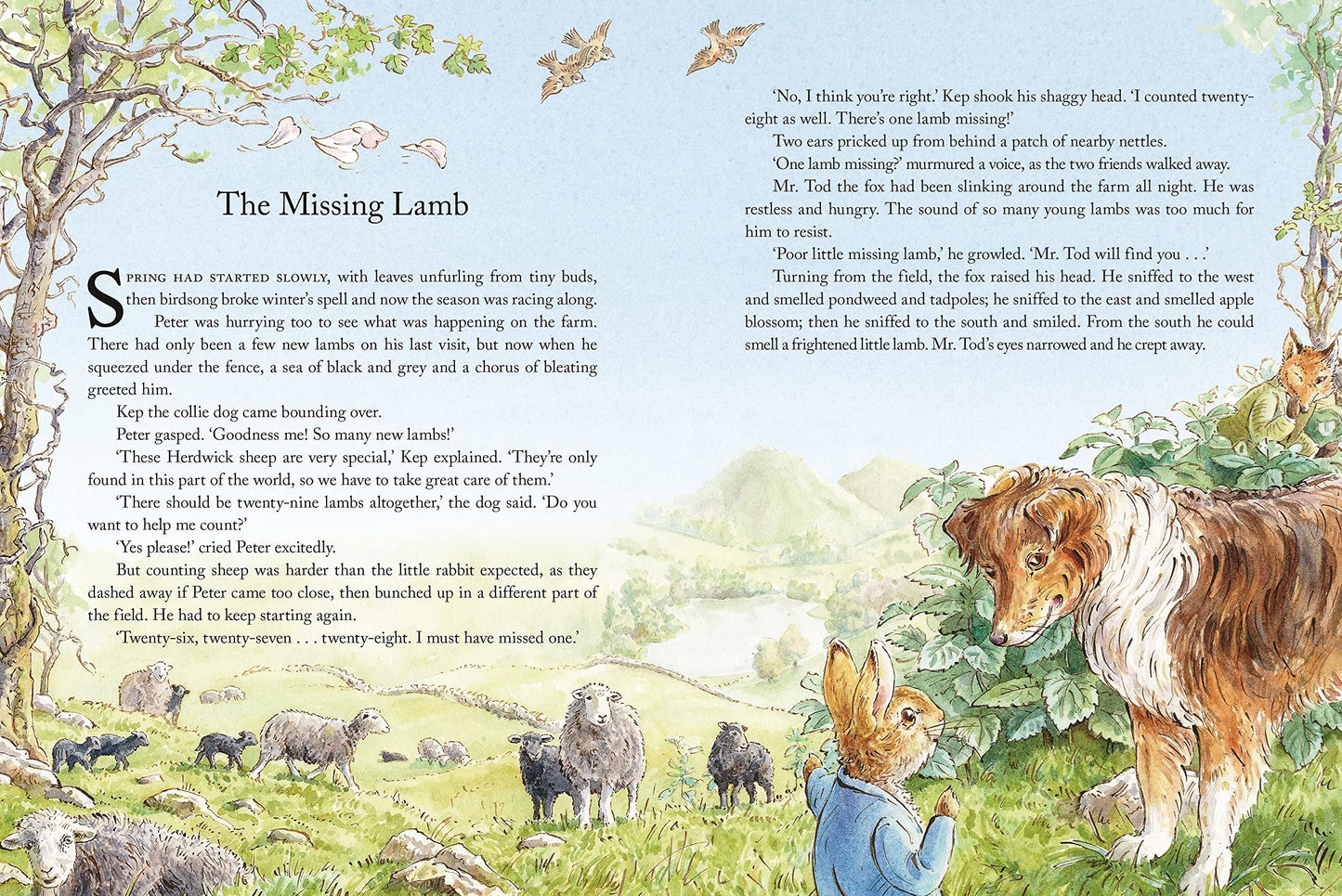 Peter Rabbit: Tales from the Countryside: A collection of nature stories