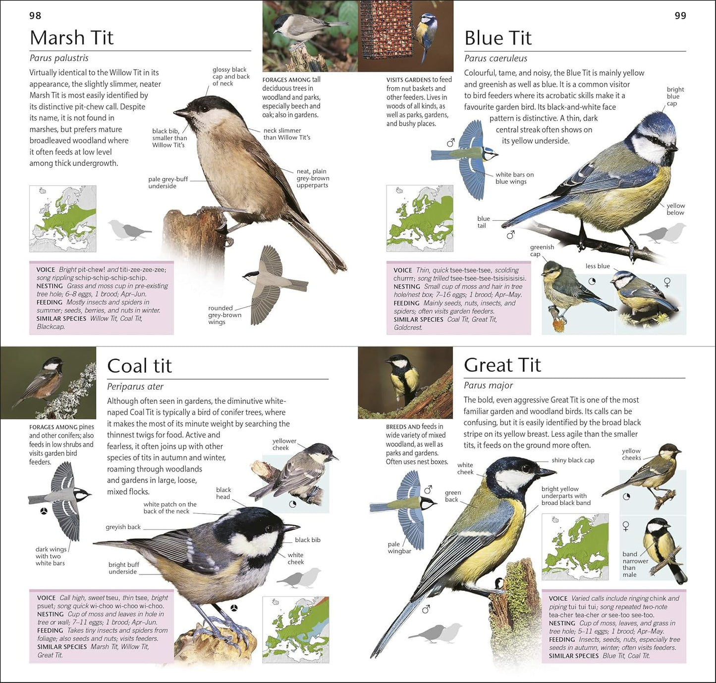 RSPB Pocket Garden Birdwatch (Used)