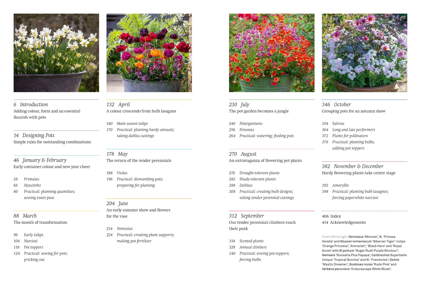 A Year Full of Pots: Container Flowers for All Seasons