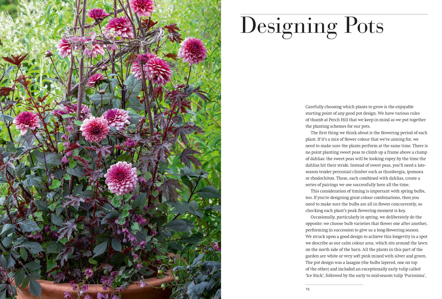 A Year Full of Pots: Container Flowers for All Seasons