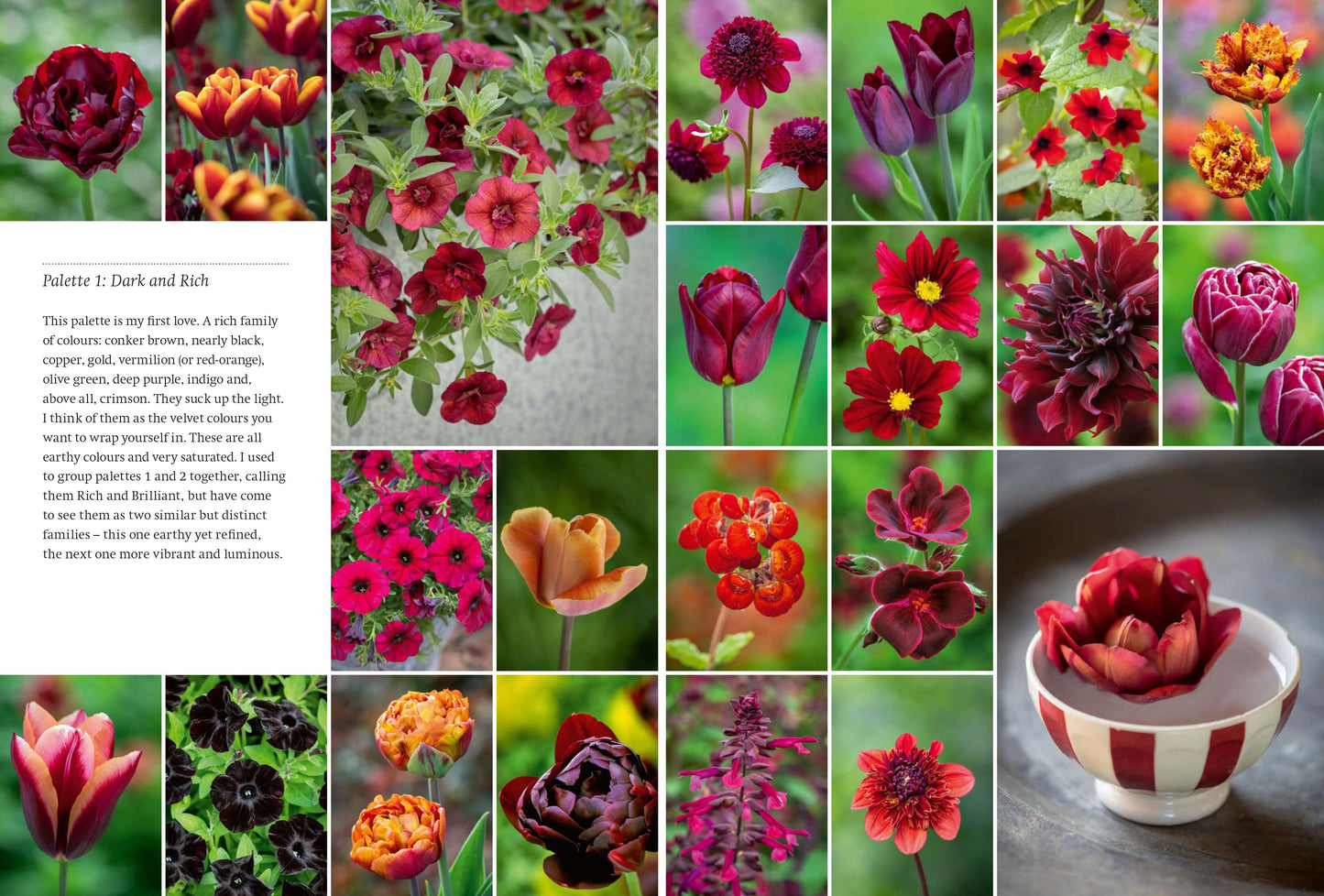 A Year Full of Pots: Container Flowers for All Seasons
