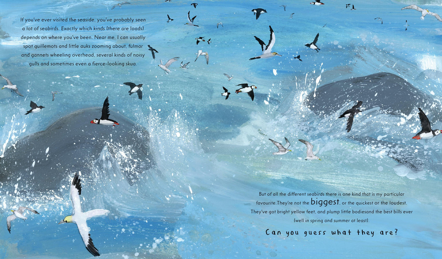 Puffin - Nature Storybooks