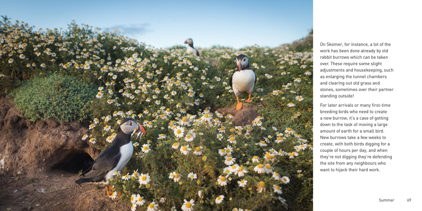 The Puffin Book