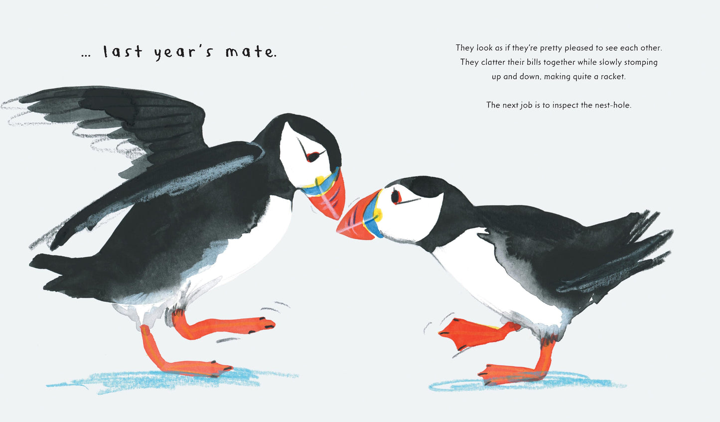 Puffin - Nature Storybooks
