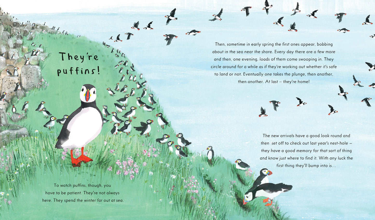Puffin - Nature Storybooks