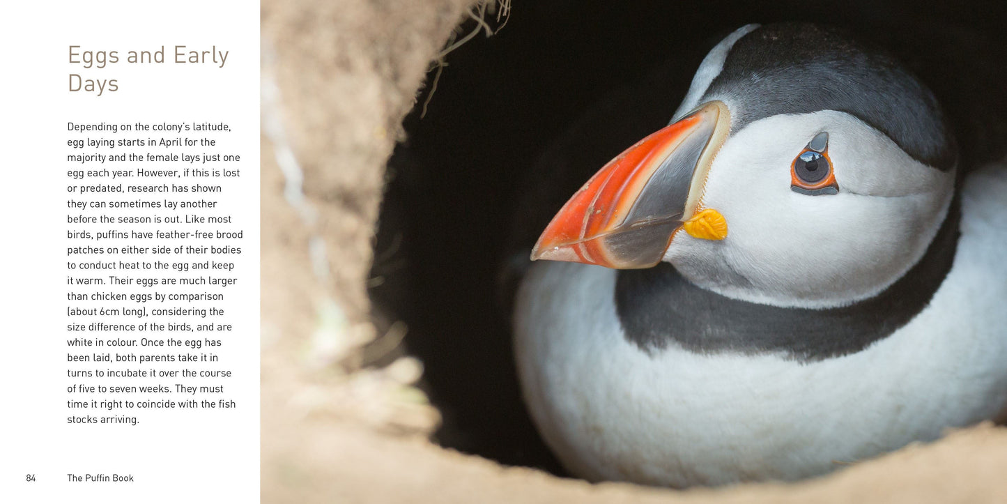 The Puffin Book