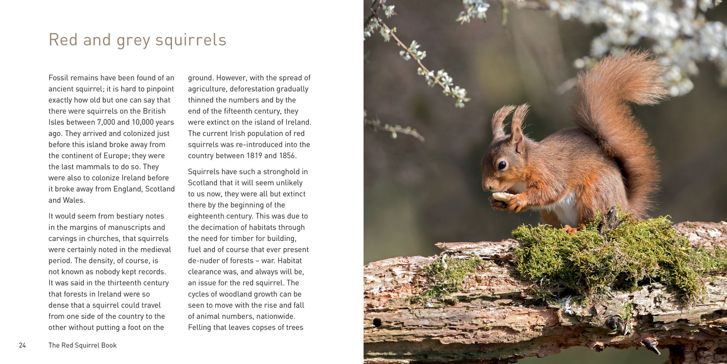The Red Squirrel Book
