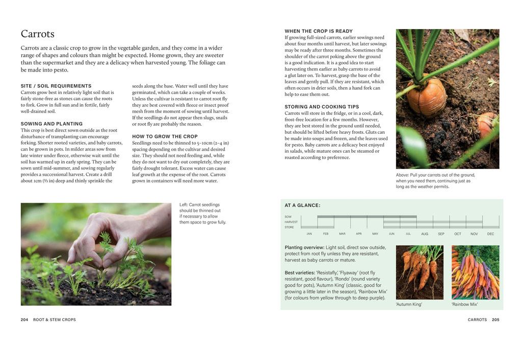 RHS Grow Your Own Veg Through the Year
