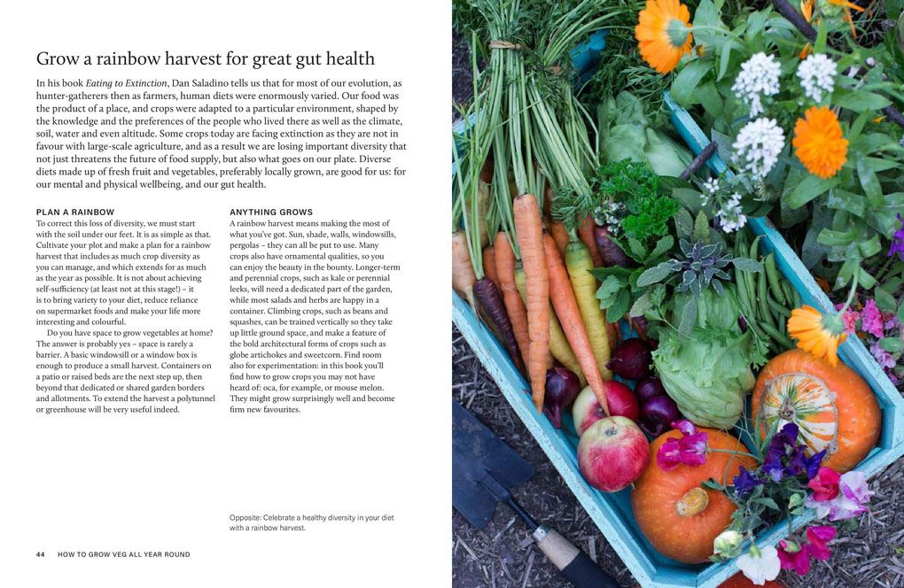 RHS Grow Your Own Veg Through the Year