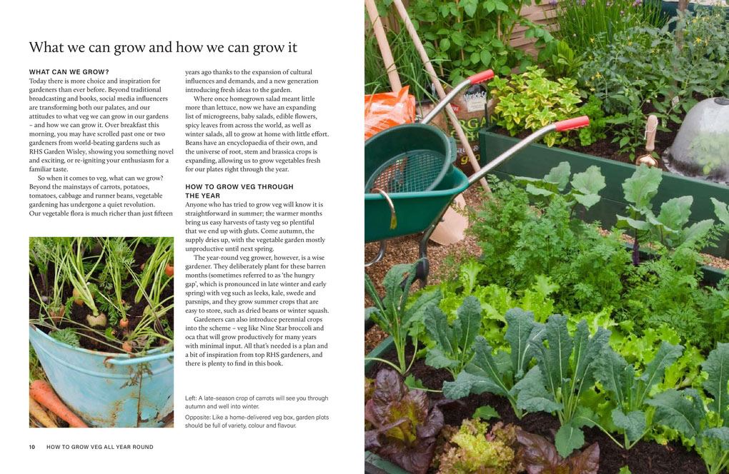 RHS Grow Your Own Veg Through the Year