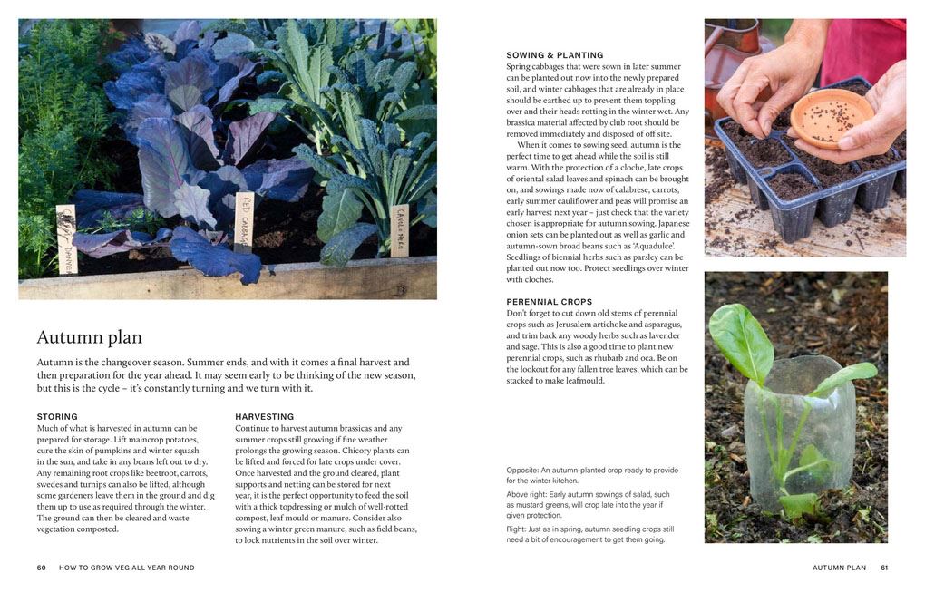 RHS Grow Your Own Veg Through the Year