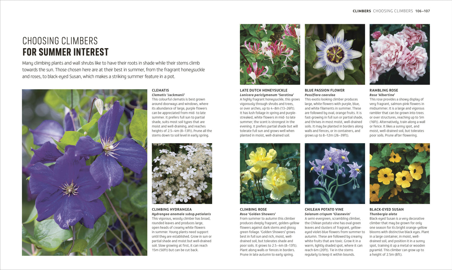 RHS How to Garden When You're New to Gardening