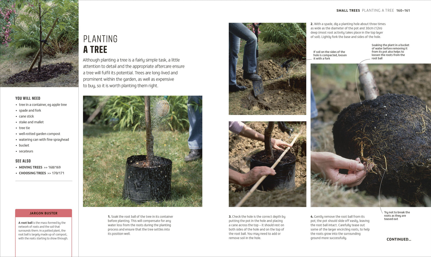RHS How to Garden When You're New to Gardening
