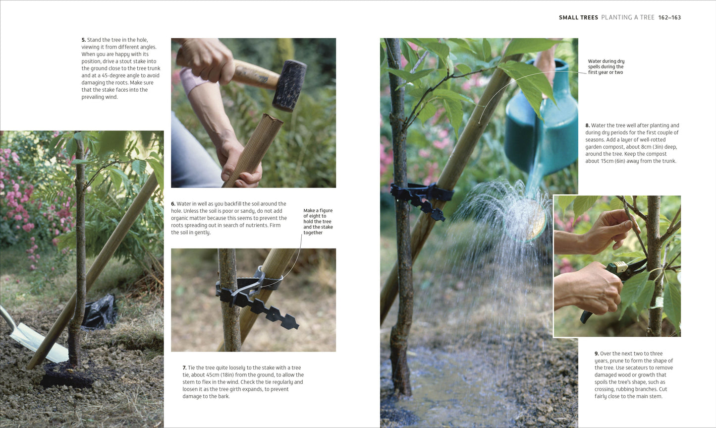 RHS How to Garden When You're New to Gardening