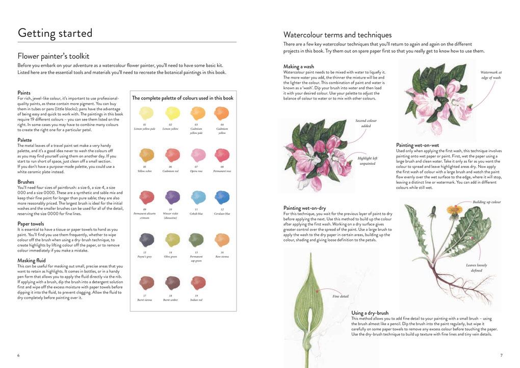 RHS Wildflowers Watercolour Art Pad: 15 botanical artworks for you to paint
