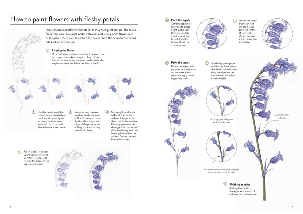 RHS Wildflowers Watercolour Art Pad: 15 botanical artworks for you to paint