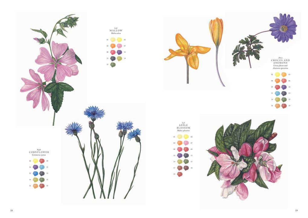 RHS Wildflowers Watercolour Art Pad: 15 botanical artworks for you to paint