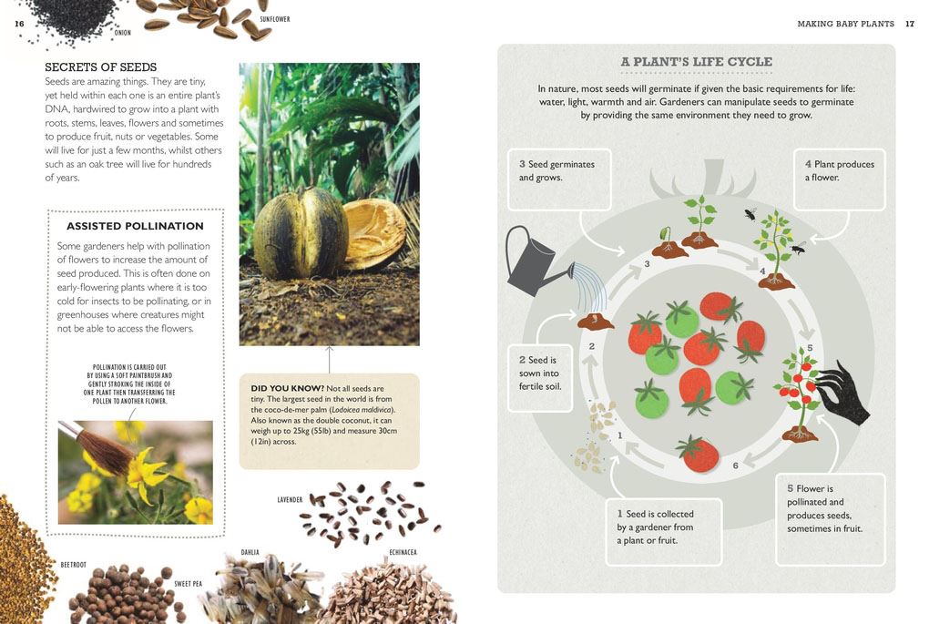 How to Grow Plants for Free (RHS)