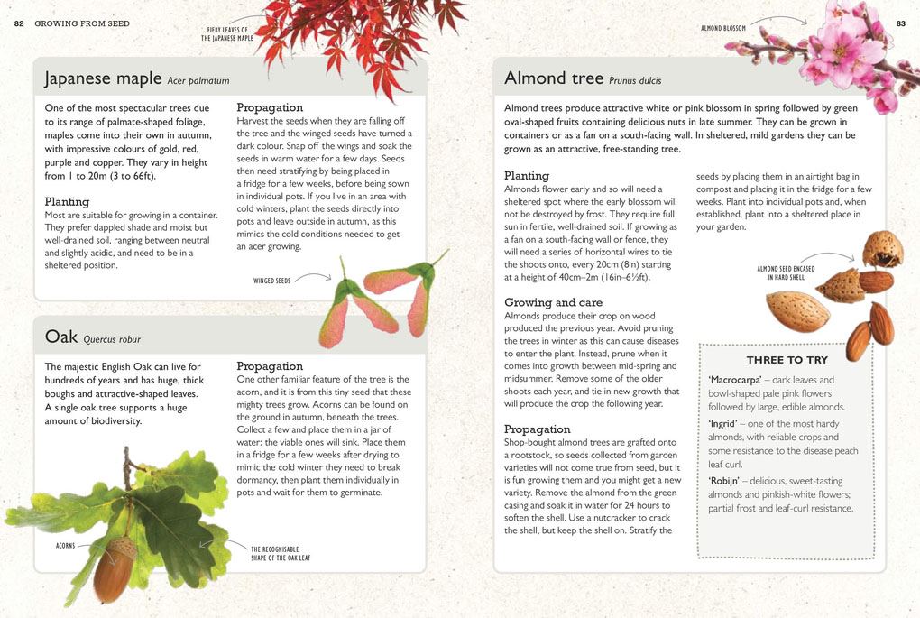How to Grow Plants for Free (RHS)