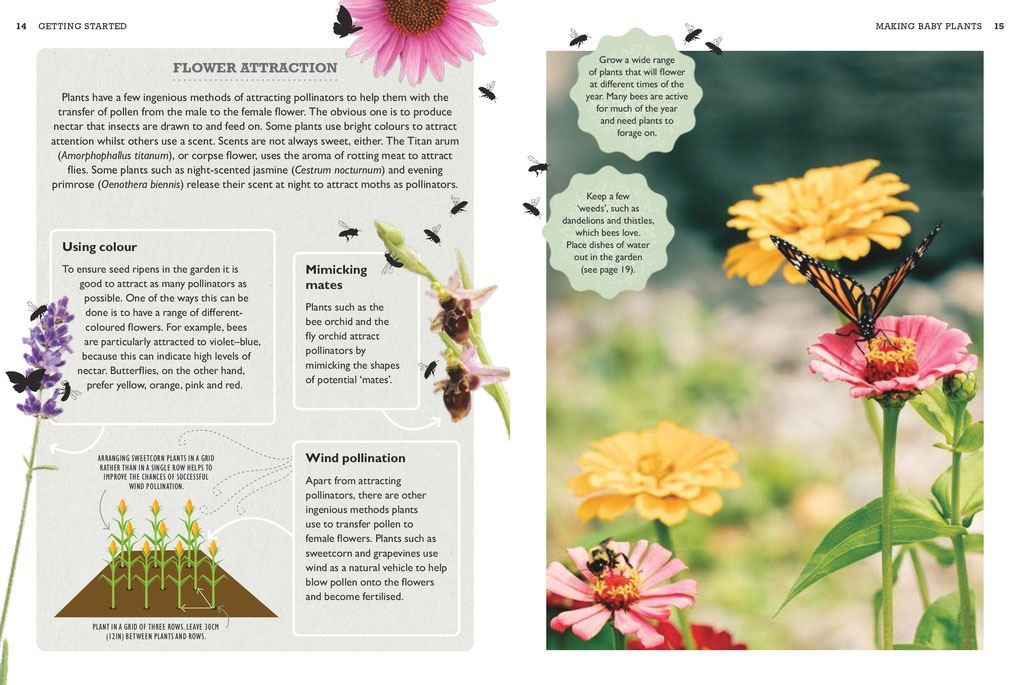 How to Grow Plants for Free (RHS)
