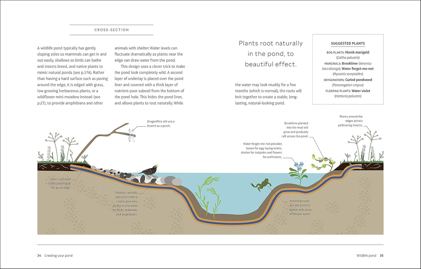 RHS How to Create a Wildlife Pond: Plan, Dig, and Enjoy a Natural Pond in Your Own Back Garden