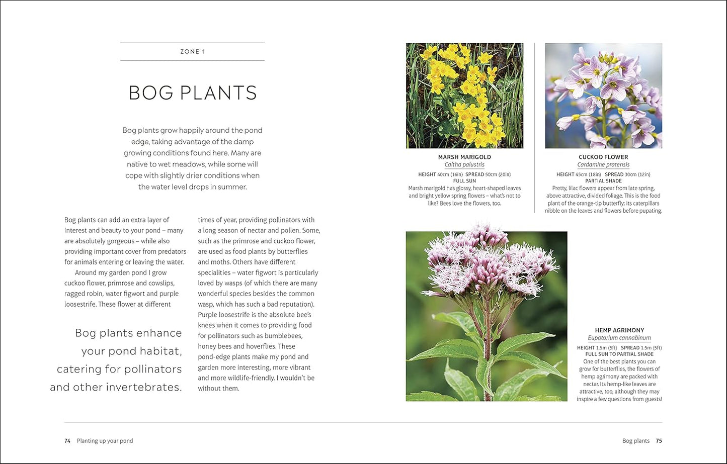 RHS How to Create a Wildlife Pond: Plan, Dig, and Enjoy a Natural Pond in Your Own Back Garden
