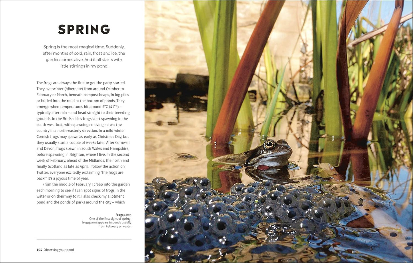 RHS How to Create a Wildlife Pond: Plan, Dig, and Enjoy a Natural Pond in Your Own Back Garden