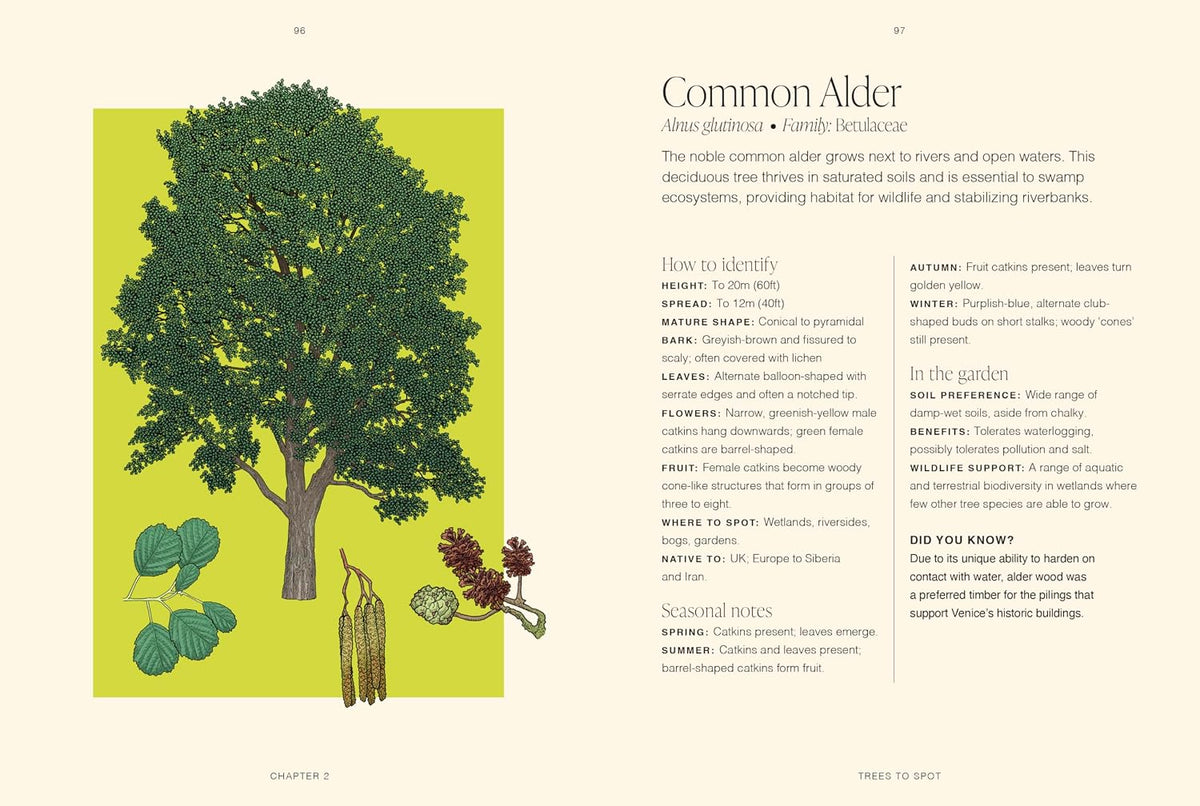 RHS Trees: A pocket guide