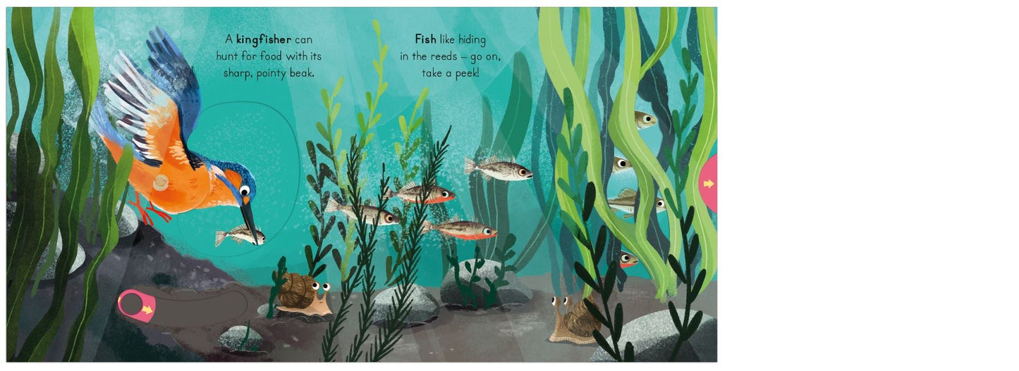 National Trust: Big Outdoors for Little Explorers: River