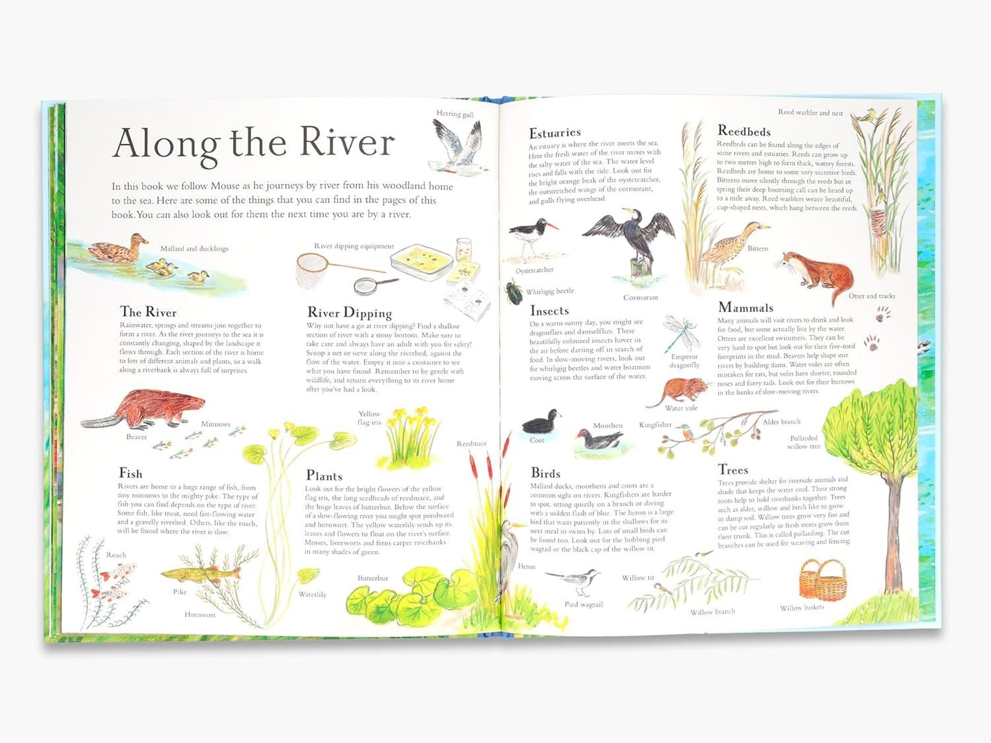 Mouse on the River: A Journey Through Nature