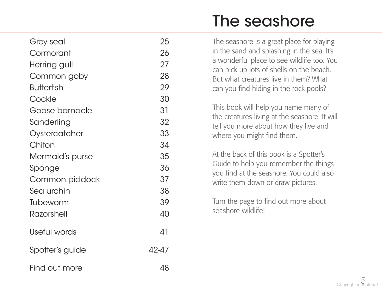 RSPB First Book Of The Seashore