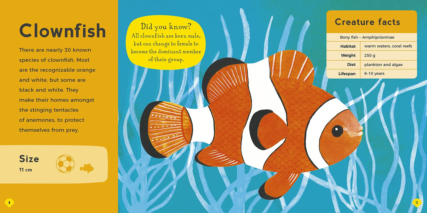 My First Book of Sea Creatures