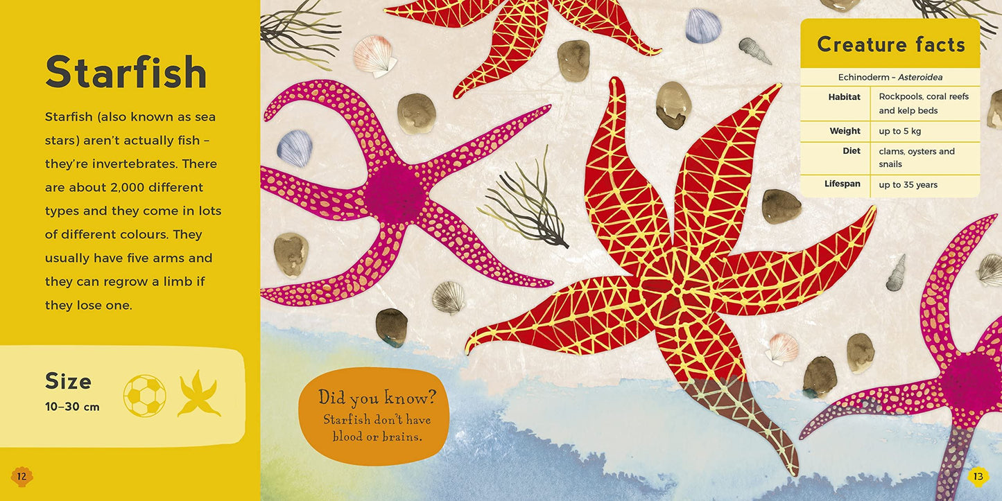 My First Book of Sea Creatures