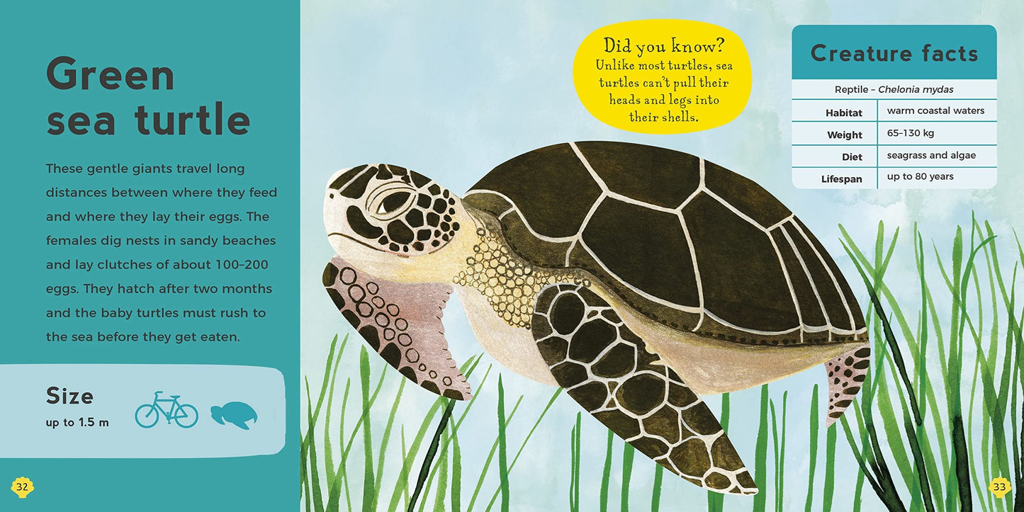My First Book of Sea Creatures