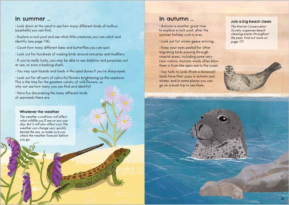 RSPB Nature Guide Seashore