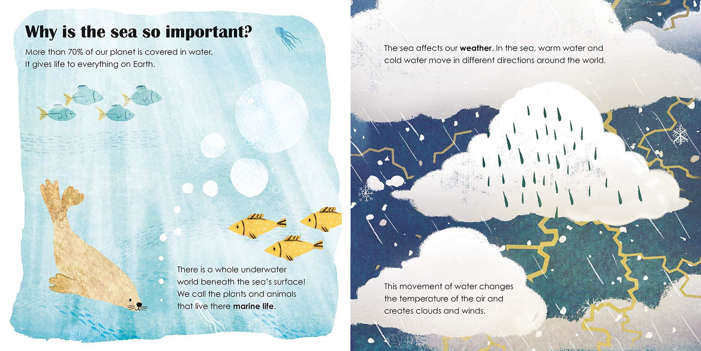 SEAS: A lift-the-flap eco book - Ladybird Eco Books