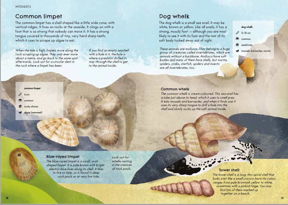 RSPB Nature Guide Seashore