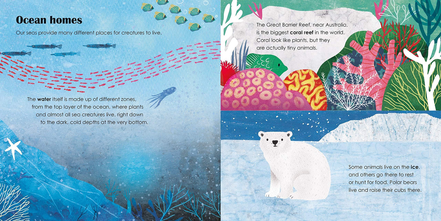 SEAS: A lift-the-flap eco book - Ladybird Eco Books