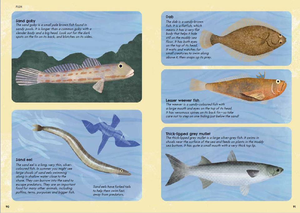 RSPB Nature Guide Seashore
