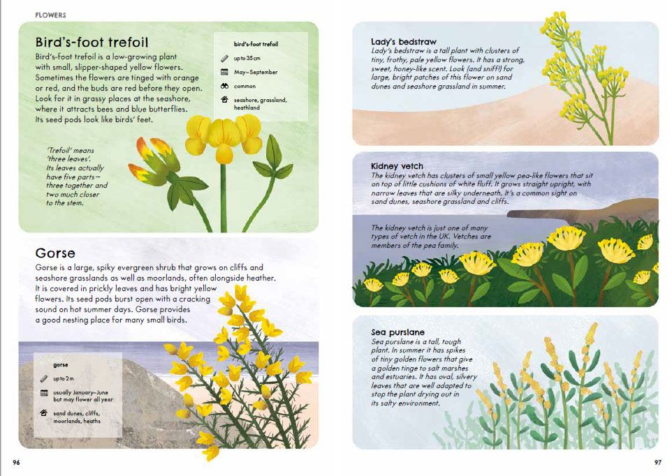 RSPB Nature Guide Seashore